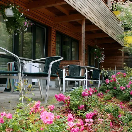 Wildbachhof 12 By Interhome Apartment