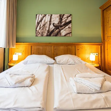 Apartment Wildbachhof 12 By Interhome Zell am See